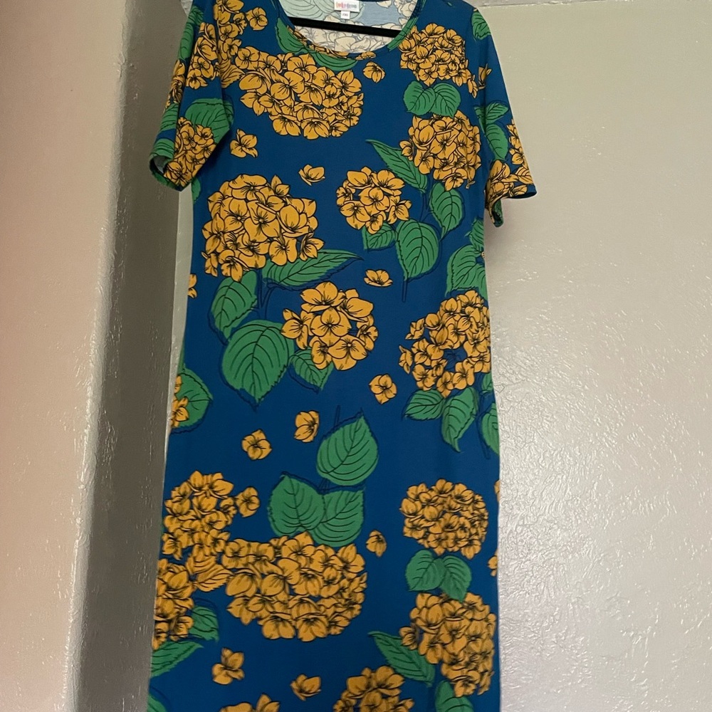 2x Lularoe dress